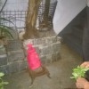 IMG-20170321-WA0006