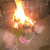 IMG-20170321-WA0011